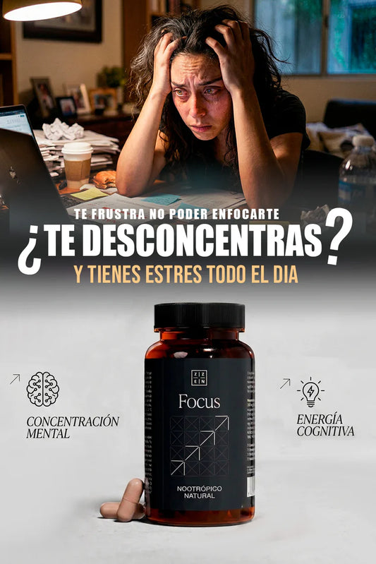 🚀 ZZEN FOCUS — Máxima claridad mental, concentración total